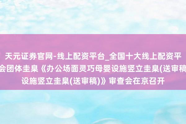 天元证券官网-线上配资平台_全国十大线上配资平台 中国房地产业协会团体圭臬《办公场面灵巧母婴设施竖立圭臬(送审稿)》审查会在京召开